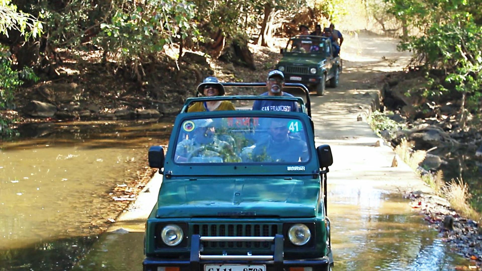 The Fern Gir Forest Resort, - A Fern Crown Collection Sasan Gir